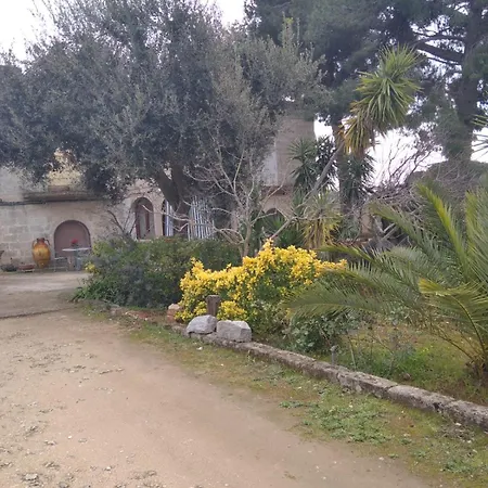 Immacolata * Sava